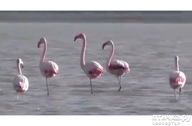 ���� 1: �������� ��������� ������������ �� ������-����� �����