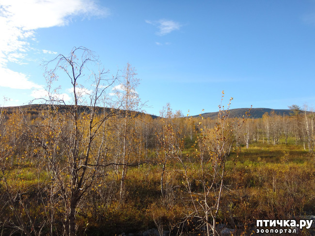 ���� 12: ������ ��� ��������� �� ���� �����! ����� 2.