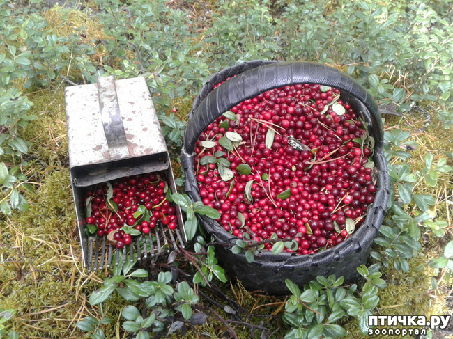 ���� 13: ������ ��� ��������� �� ���� �����! ����� 2.