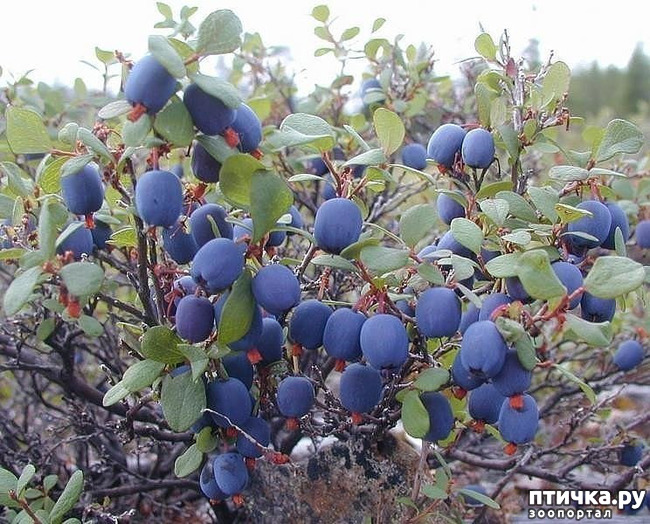 ���� 14: ������ ��� ��������� �� ���� �����! ����� 2.