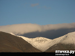 фотография: Покажу вам Заполярье во всей красе! часть 2. фото: Покажу вам Заполярье во всей красе! часть 2.