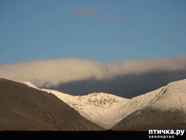 ���� 1: ������ ��� ��������� �� ���� �����! ����� 2.