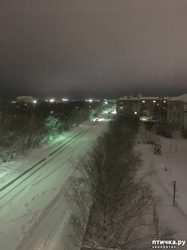 ���� 15: ������ ��� ��������� �� ���� �����! ����� 2.