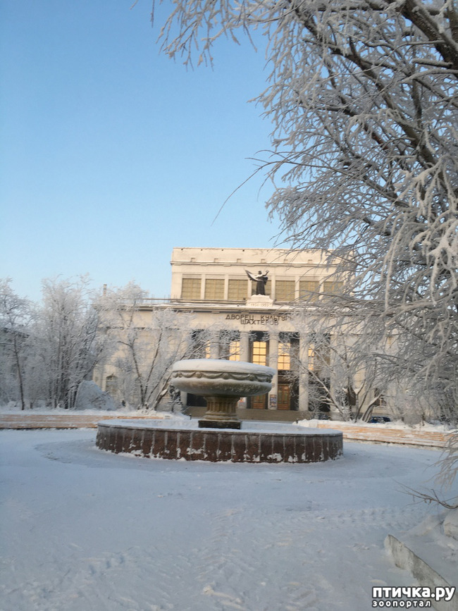 ���� 16: ������ ��� ��������� �� ���� �����! ����� 2.