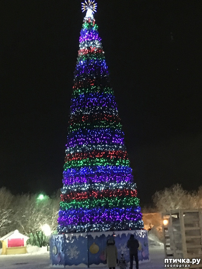 ���� 17: ������ ��� ��������� �� ���� �����! ����� 2.