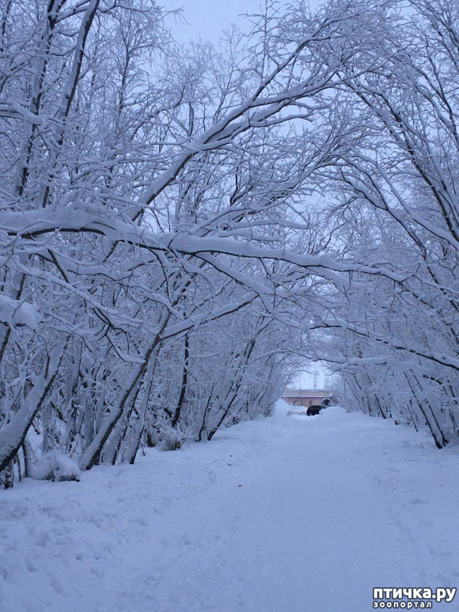 ���� 18: ������ ��� ��������� �� ���� �����! ����� 2.