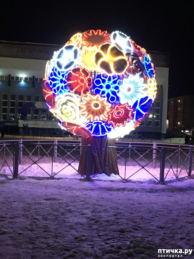 ���� 19: ������ ��� ��������� �� ���� �����! ����� 2.