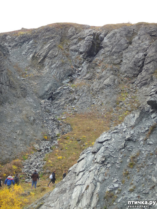 ���� 2: ������ ��� ��������� �� ���� �����! ����� 2.