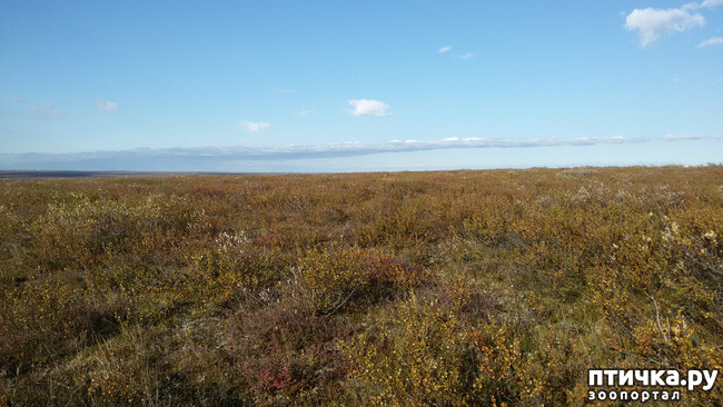 ���� 3: ������ ��� ��������� �� ���� �����! ����� 2.