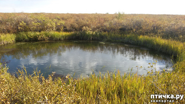 ���� 4: ������ ��� ��������� �� ���� �����! ����� 2.