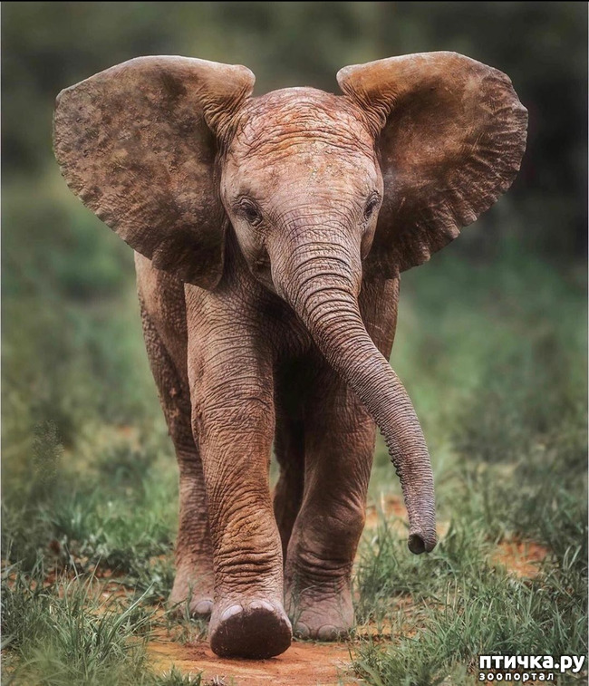 ���� 1: Kruger National Park