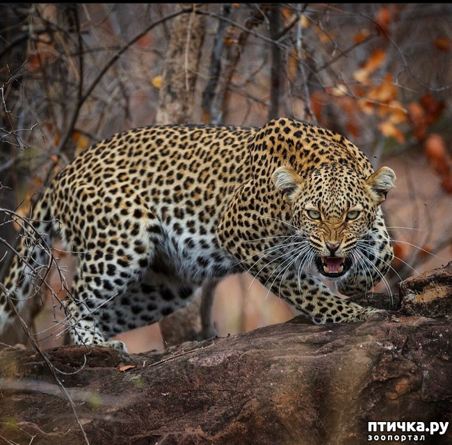  2: Kruger National Park