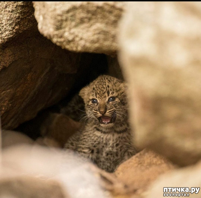 ���� 7: Kruger National Park