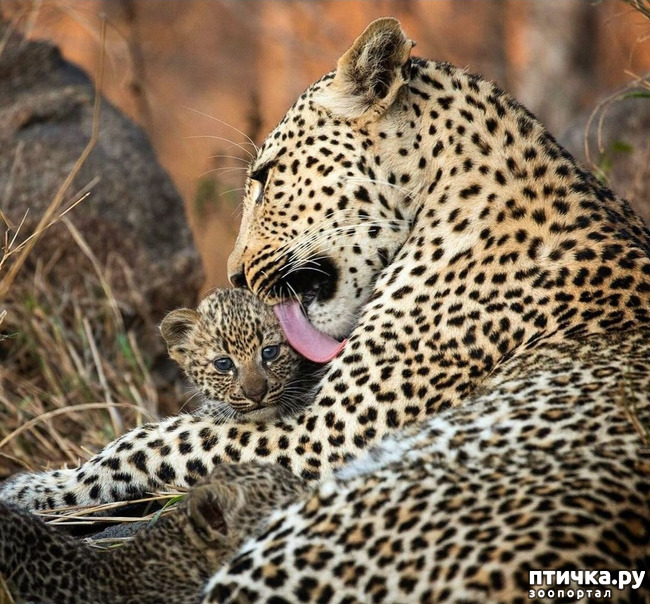  9: Kruger National Park