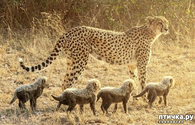 ���� 14: Kruger National Park