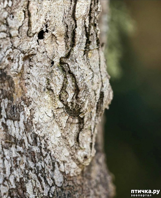 ���� 17: Kruger National Park