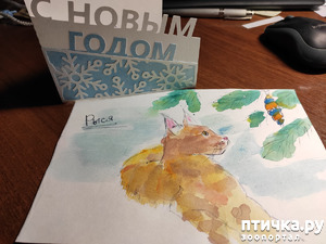 ����: ���, �������!!!