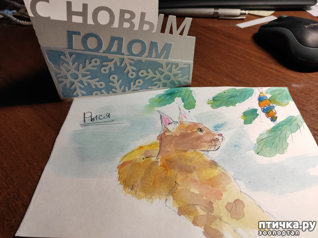 ���� 1: ���, �������!!!