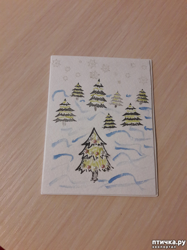 ���� 3: ����������� ����