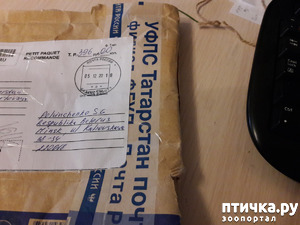 ����: ����������� ����