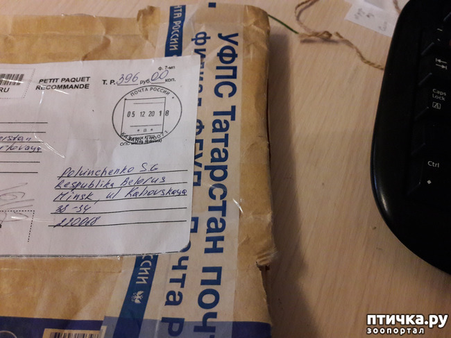 ���� 1: ����������� ����