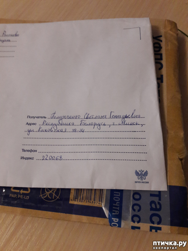 ���� 2: ����������� ����