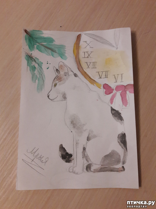 ���� 4: ����������� ����