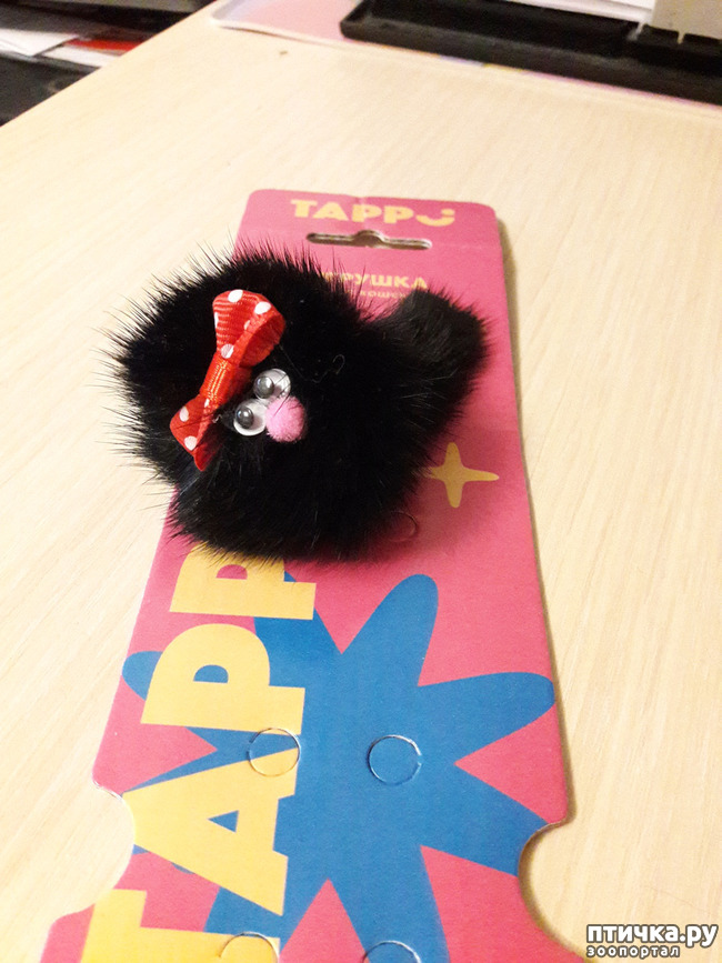 ���� 5: ����������� ����