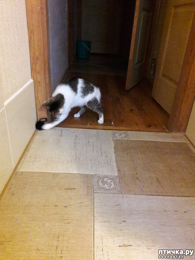 ���� 7: ����������� ����