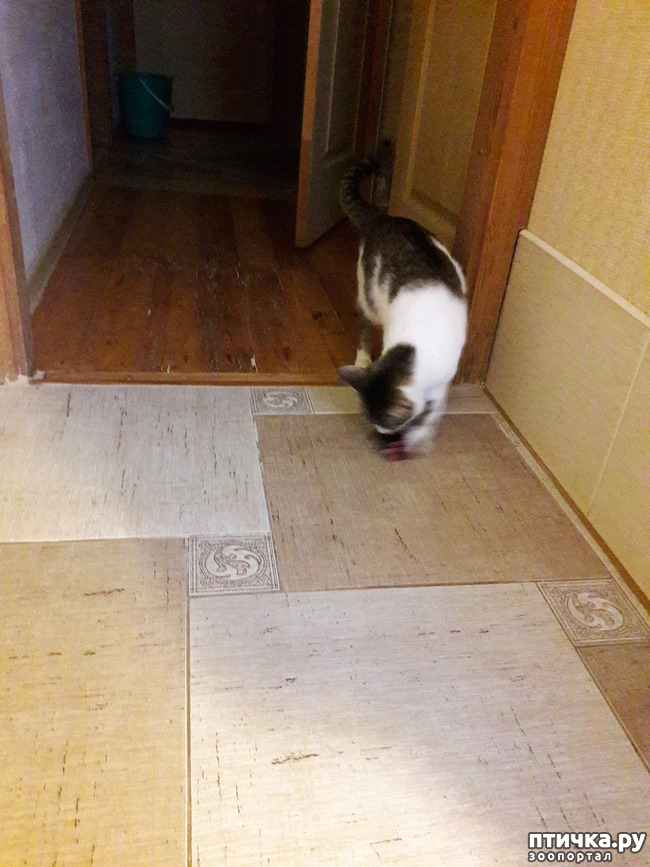 ���� 8: ����������� ����