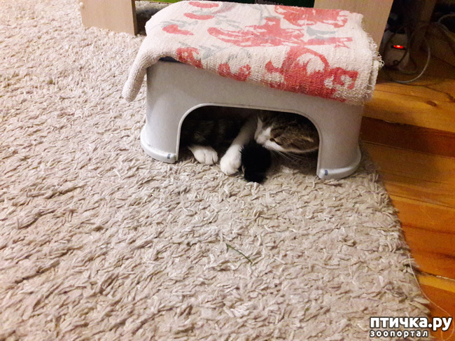 ���� 9: ����������� ����