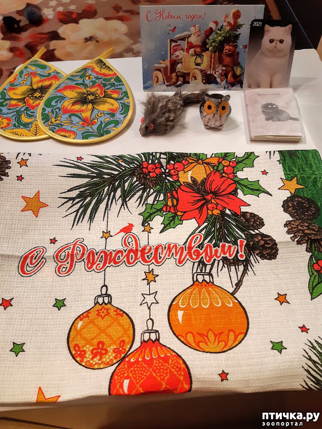 ���� 1: ������� �� ���� ������