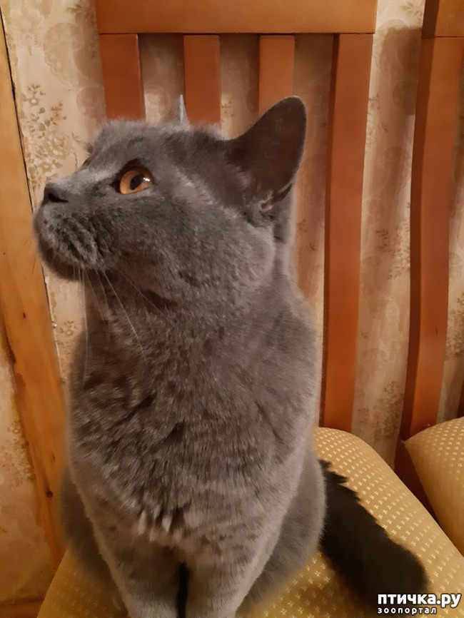 ���� 2: ������� �� ���� ������