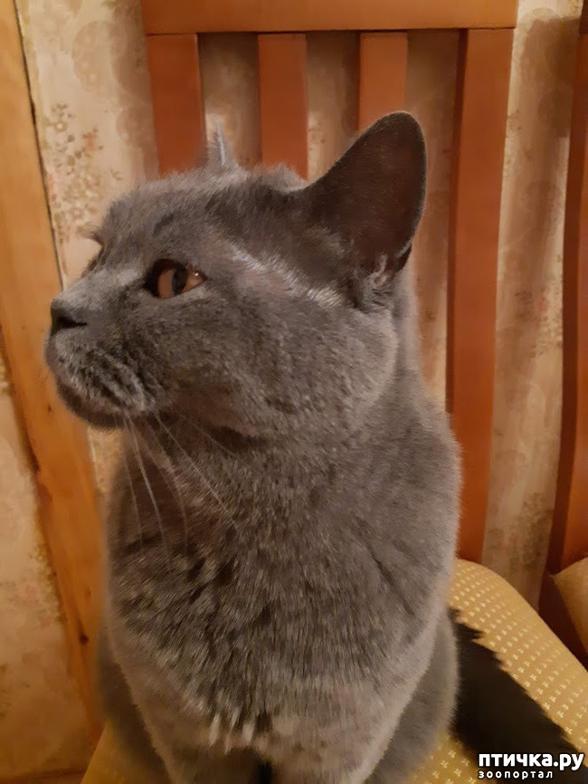 ���� 3: ������� �� ���� ������