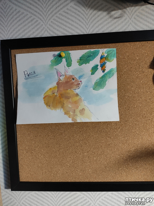 ���� 3: ���, �������!!!