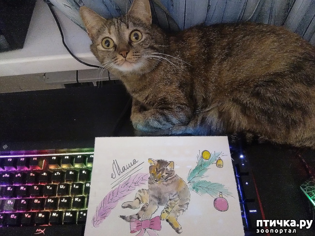 ���� 2: �����������!