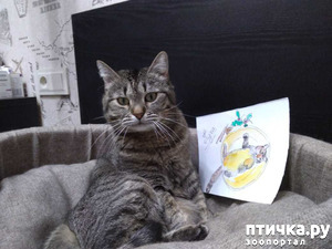 ����: �����������!