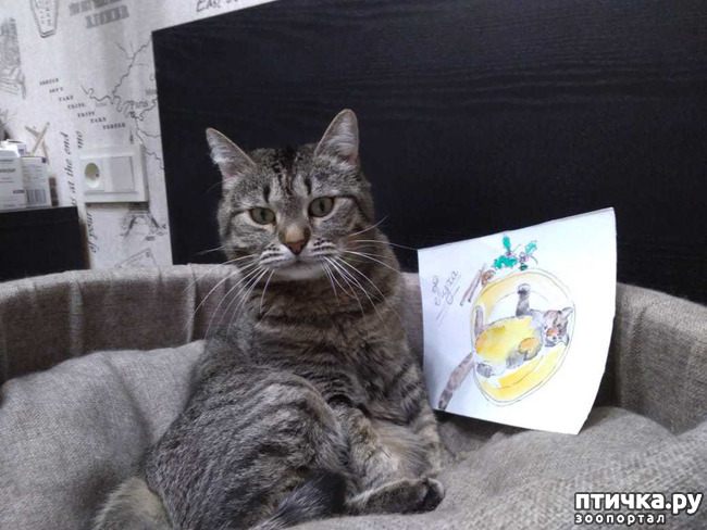 ���� 1: �����������!