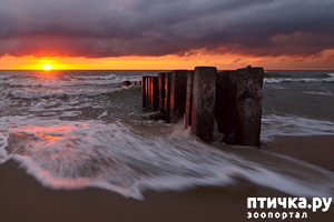 ����: �� ������ ����...