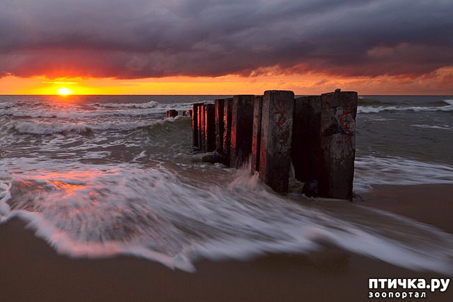 ���� 1: �� ������ ����...