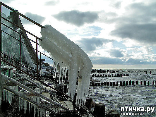 ���� 2: �� ������ ����...