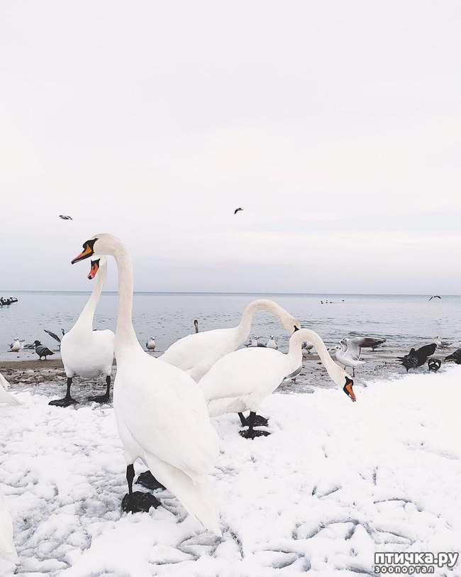 ���� 3: �� ������ ����...