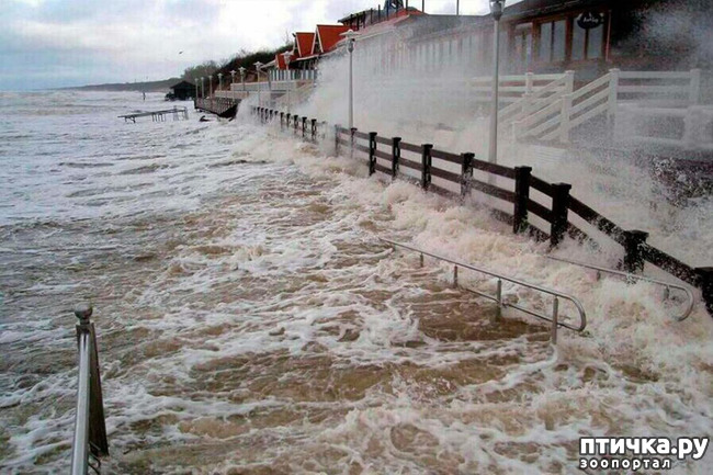 ���� 4: �� ������ ����...