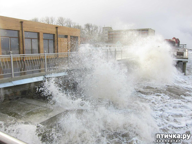 ���� 5: �� ������ ����...