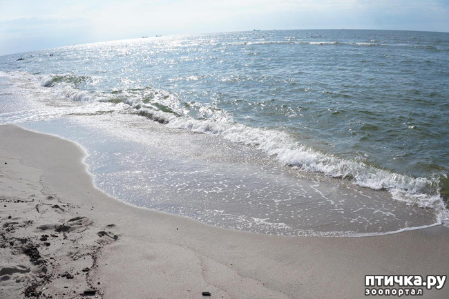 ���� 6: �� ������ ����...