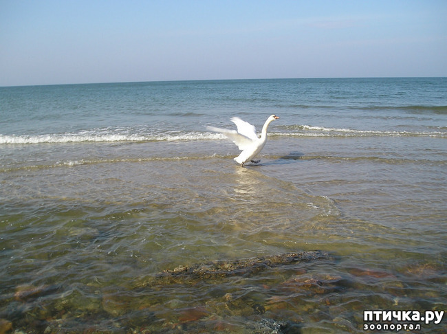 ���� 7: �� ������ ����...