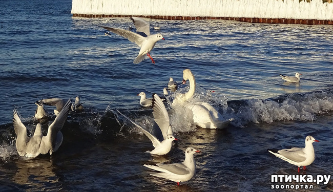 ���� 8: �� ������ ����...