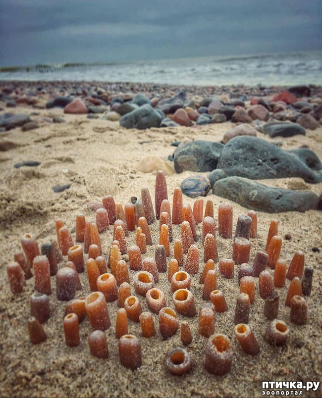 ���� 11: �� ������ ����...