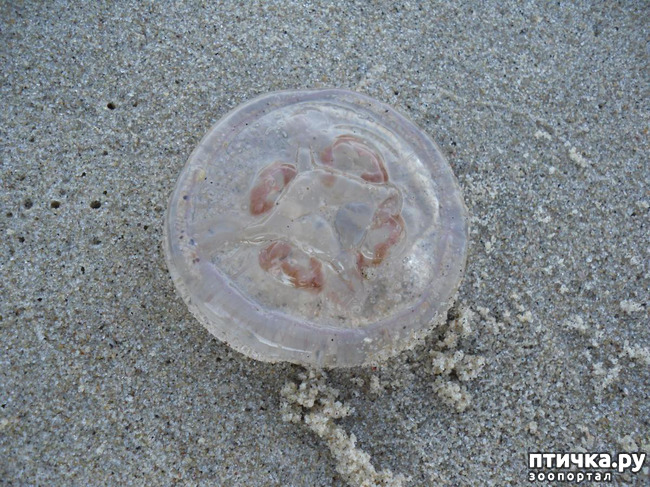 ���� 12: �� ������ ����...