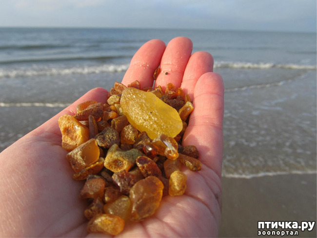 ���� 13: �� ������ ����...